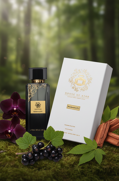 RENDEZVOUS N°3: Mysterious Freedom